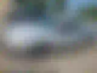 Vehicle Image- 2005 Ford Focus