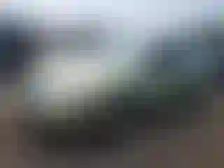 Vehicle Image- 2007 Ford Focus