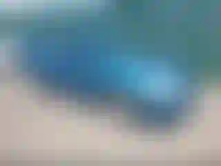 Vehicle Image- 2000 Ford Focus
