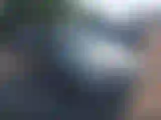Vehicle Image- 2003 Ford Focus