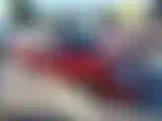 Vehicle Image- 2002 Ford Focus