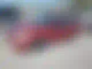 Vehicle Image- 2003 Ford Focus