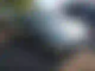 Vehicle Image- 2003 Ford Focus