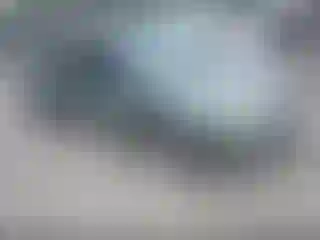 Vehicle Image- 2004 Ford Focus