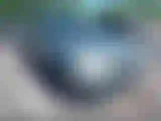 Vehicle Image- 2004 Ford Focus