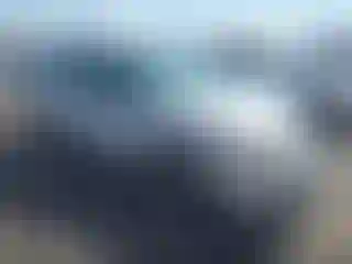 Vehicle Image- 2004 Ford Focus