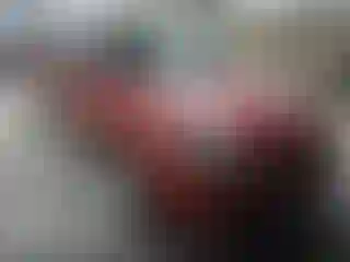 Vehicle Image- 2003 Ford Focus