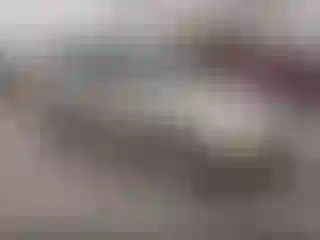 Vehicle Image- 2003 Ford Focus