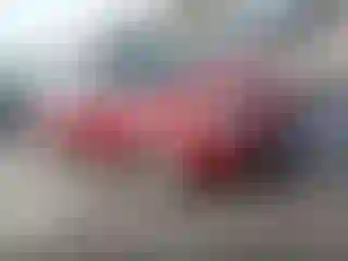 Vehicle Image- 2003 Ford Focus