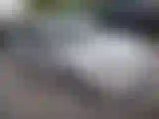 Vehicle Image- 2003 Ford Focus