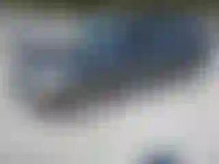 Vehicle Image- 2003 Ford Focus