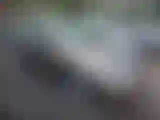 Vehicle Image- 2004 Ford Focus