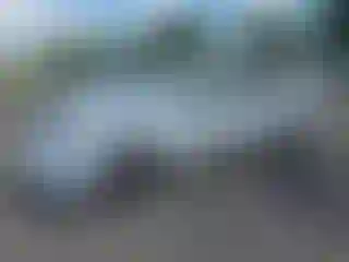 Vehicle Image- 2002 Ford Focus