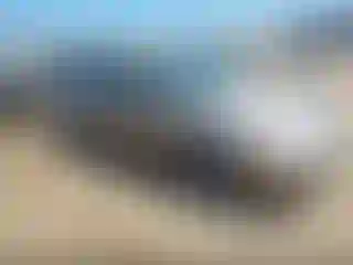 Vehicle Image- 2003 Ford Focus