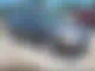 Vehicle Image- 2002 Ford Focus
