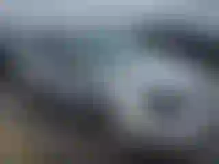 Vehicle Image- 2003 Ford Focus