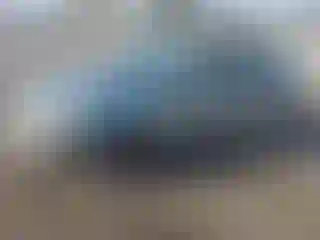 Vehicle Image- 2003 Ford Focus