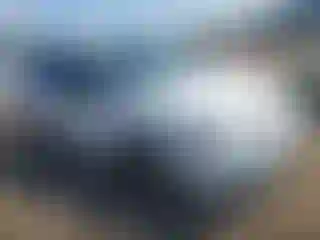 Vehicle Image- 2003 Ford Focus