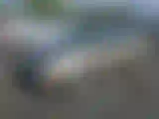 Vehicle Image- 2003 Ford Focus