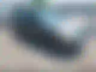 Vehicle Image- 2006 Ford Focus