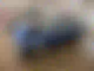 Vehicle Image- 2005 Ford Focus