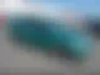 Vehicle Image- 2004 Ford Focus