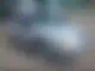 Vehicle Image- 2006 Ford Focus
