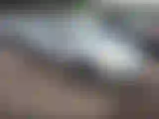 Vehicle Image- 2006 Ford Focus