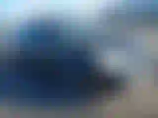 Vehicle Image- 2002 Ford Focus