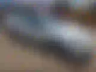 Vehicle Image- 2003 Ford Focus