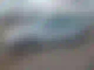 Vehicle Image- 2003 Ford Focus