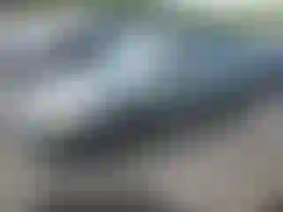 Vehicle Image- 2004 Ford Focus