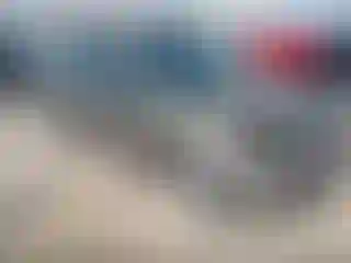 Vehicle Image- 2004 Ford Focus