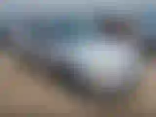 Vehicle Image- 2004 Ford Focus