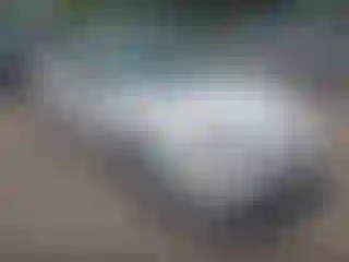 Vehicle Image- 2004 Ford Focus