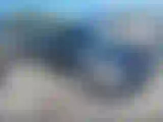 Vehicle Image- 2004 Ford Focus