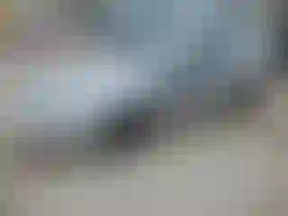 Vehicle Image- 2001 Ford Mustang