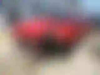 Vehicle Image- 2003 Ford Mustang