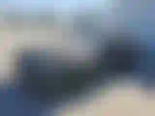 Vehicle Image- 2001 Ford Mustang