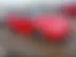 Vehicle Image- 2000 Ford Mustang