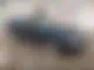 Vehicle Image- 2002 Ford Mustang