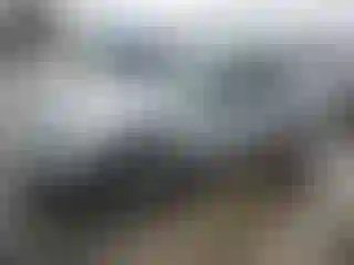 Vehicle Image- 2000 Ford Mustang