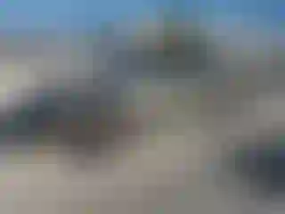 Vehicle Image- 2002 Ford Mustang