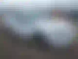 Vehicle Image- 2000 Ford Mustang