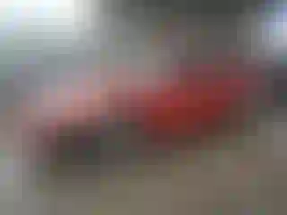 Vehicle Image- 2003 Ford Mustang