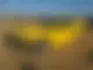 Vehicle Image- 2004 Ford Mustang