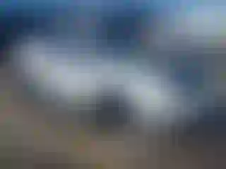 Vehicle Image- 2004 Ford Mustang