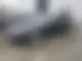 Vehicle Image- 2004 Ford Mustang