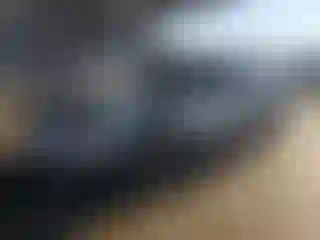 Vehicle Image- 2004 Ford Mustang