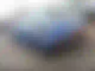 Vehicle Image- 2004 Ford Mustang
